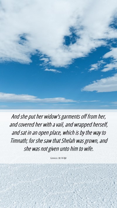 Picture 06 - Genesis 38:14 KJV Mobile Phone Wallpaper - And she put her widow's garments off from her, - Mobile Bible Verse Wallpaper