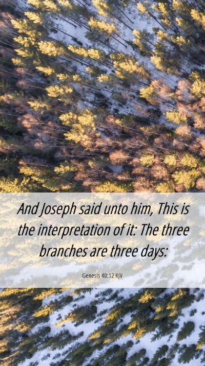 Picture 06 - Genesis 40:12 KJV Mobile Phone Wallpaper - And Joseph said unto him, This is the - Mobile Bible Verse Wallpaper