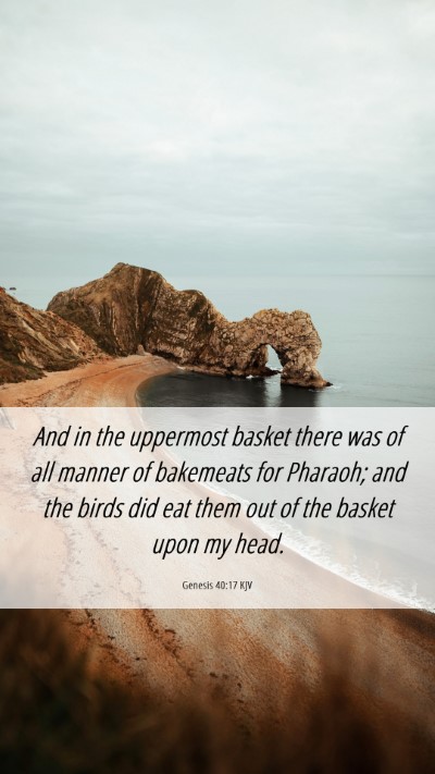 Picture 06 - Genesis 40:17 KJV Mobile Phone Wallpaper - And in the uppermost basket there was of all - Mobile Bible Verse Wallpaper