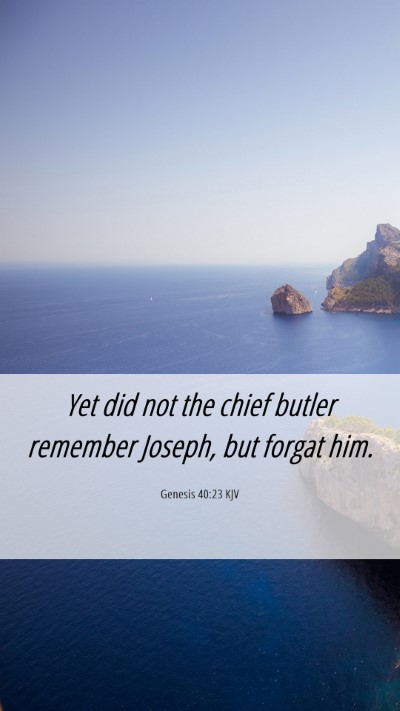 Picture 06 - Genesis 40:23 KJV Mobile Phone Wallpaper - Yet did not the chief butler remember Joseph, but - Mobile Bible Verse Wallpaper