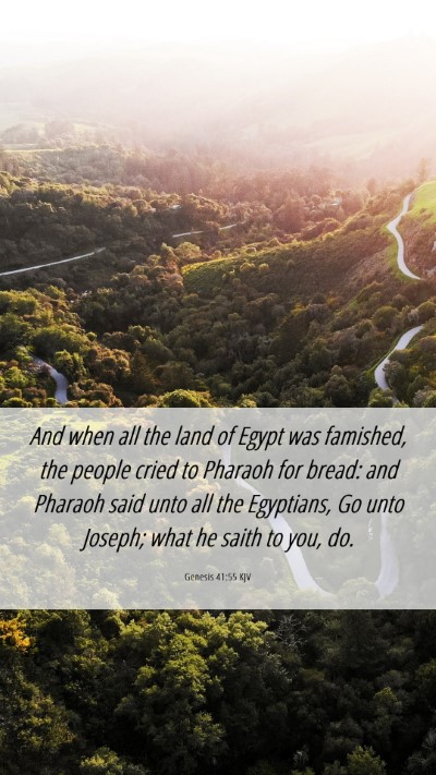 Picture 06 - Genesis 41:55 KJV Mobile Phone Wallpaper - And when all the land of Egypt was famished, the - Mobile Bible Verse Wallpaper