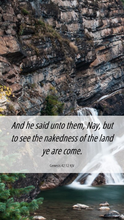 Picture 06 - Genesis 42:12 KJV Mobile Phone Wallpaper - And he said unto them, Nay, but to see the - Mobile Bible Verse Wallpaper