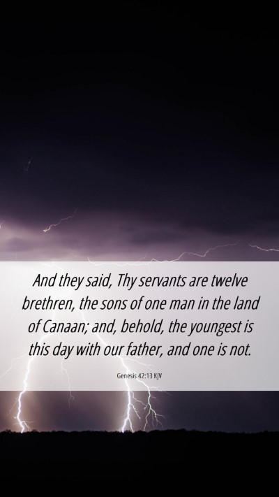 Picture 06 - Genesis 42:13 KJV Mobile Phone Wallpaper - And they said, Thy servants are twelve brethren, - Mobile Bible Verse Wallpaper