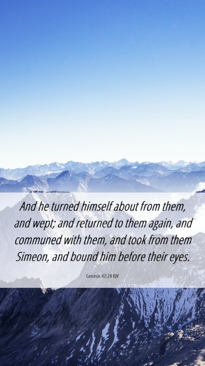 Picture 06 - Genesis 42:24 KJV Mobile Phone Wallpaper - And he turned himself about from them, and wept; - Mobile Bible Verse Wallpaper