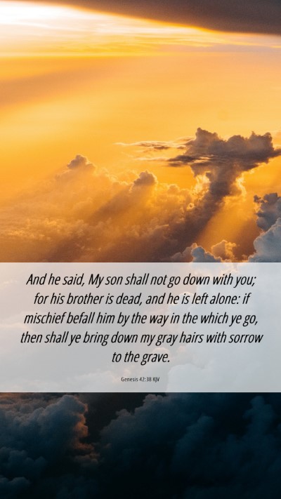 Picture 06 - Genesis 42:38 KJV Mobile Phone Wallpaper - And he said, My son shall not go down with you; - Mobile Bible Verse Wallpaper