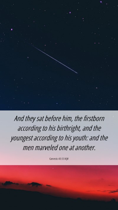 Picture 06 - Genesis 43:33 KJV Mobile Phone Wallpaper - And they sat before him, the firstborn according - Mobile Bible Verse Wallpaper