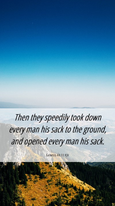 Picture 06 - Genesis 44:11 KJV Mobile Phone Wallpaper - Then they speedily took down every man his sack - Mobile Bible Verse Wallpaper