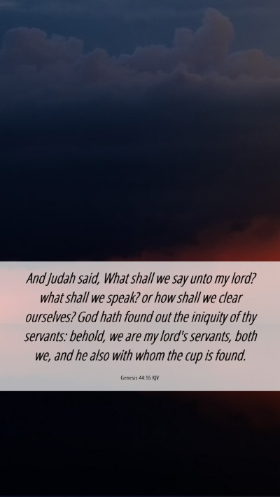 Picture 06 - Genesis 44:16 KJV Mobile Phone Wallpaper - And Judah said, What shall we say unto my lord? - Mobile Bible Verse Wallpaper