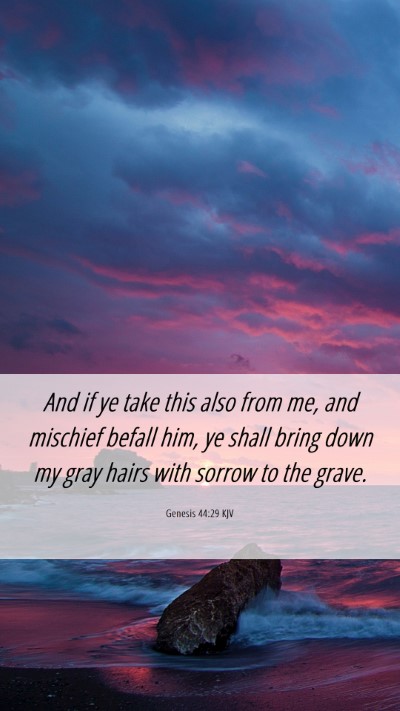 Picture 06 - Genesis 44:29 KJV Mobile Phone Wallpaper - And if ye take this also from me, and mischief - Mobile Bible Verse Wallpaper