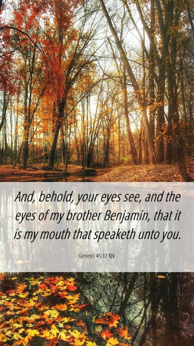 Picture 06 - Genesis 45:12 KJV Mobile Phone Wallpaper - And, behold, your eyes see, and the eyes of my - Mobile Bible Verse Wallpaper