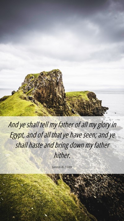 Picture 06 - Genesis 45:13 KJV Mobile Phone Wallpaper - And ye shall tell my father of all my glory in - Mobile Bible Verse Wallpaper