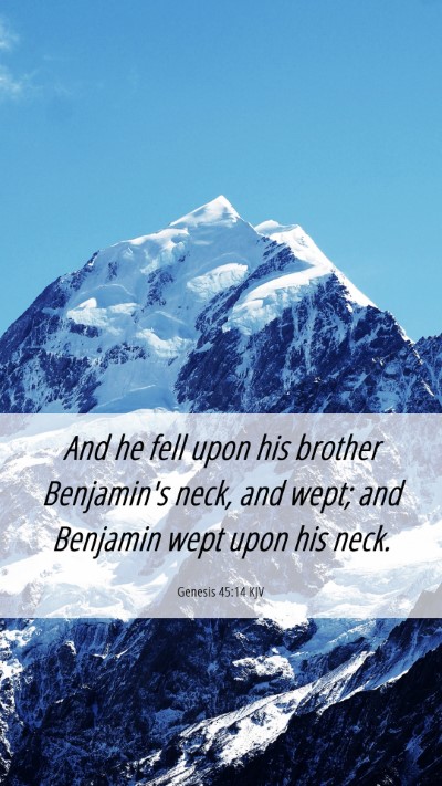 Picture 06 - Genesis 45:14 KJV Mobile Phone Wallpaper - And he fell upon his brother Benjamin's neck, and - Mobile Bible Verse Wallpaper