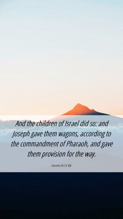 Picture 06 - Genesis 45:21 KJV Mobile Phone Wallpaper - And the children of Israel did so: and Joseph - Mobile Bible Verse Wallpaper