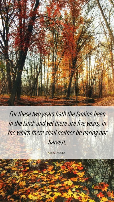 Picture 06 - Genesis 45:6 KJV Mobile Phone Wallpaper - For these two years hath the famine been in the - Mobile Bible Verse Wallpaper