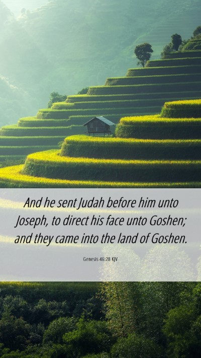 Picture 06 - Genesis 46:28 KJV Mobile Phone Wallpaper - And he sent Judah before him unto Joseph, to - Mobile Bible Verse Wallpaper