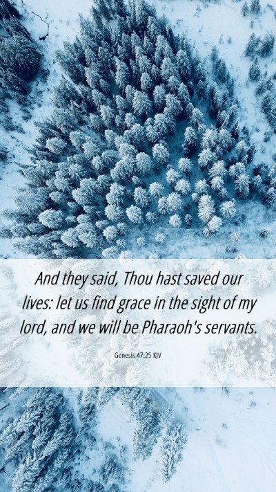 Picture 06 - Genesis 47:25 KJV Mobile Phone Wallpaper - And they said, Thou hast saved our lives: let us - Mobile Bible Verse Wallpaper