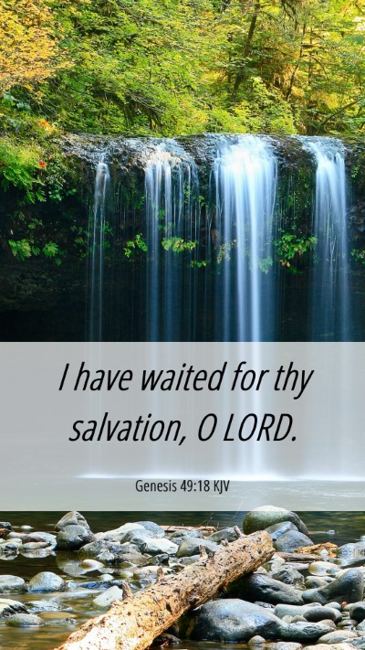 Picture 06 - Genesis 49:18 KJV Mobile Phone Wallpaper - I have waited for thy salvation, O - Mobile Bible Verse Wallpaper