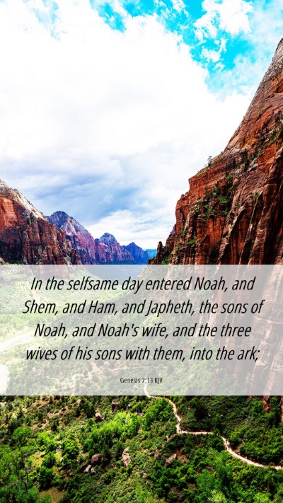 Picture 06 - Genesis 7:13 KJV Mobile Phone Wallpaper - In the selfsame day entered Noah, and Shem, and - Mobile Bible Verse Wallpaper