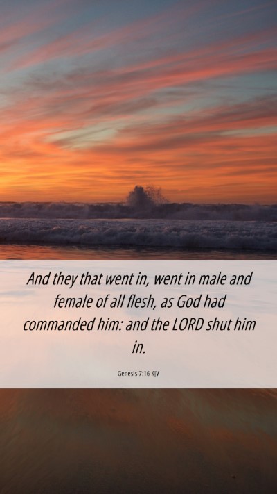 Picture 06 - Genesis 7:16 KJV Mobile Phone Wallpaper - And they that went in, went in male and female of - Mobile Bible Verse Wallpaper