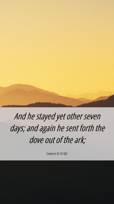 Picture 06 - Genesis 8:10 KJV Mobile Phone Wallpaper - And he stayed yet other seven days; and again he - Mobile Bible Verse Wallpaper