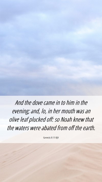 Picture 06 - Genesis 8:11 KJV Mobile Phone Wallpaper - And the dove came in to him in the evening; and, - Mobile Bible Verse Wallpaper