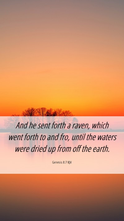 Picture 06 - Genesis 8:7 KJV Mobile Phone Wallpaper - And he sent forth a raven, which went forth to - Mobile Bible Verse Wallpaper