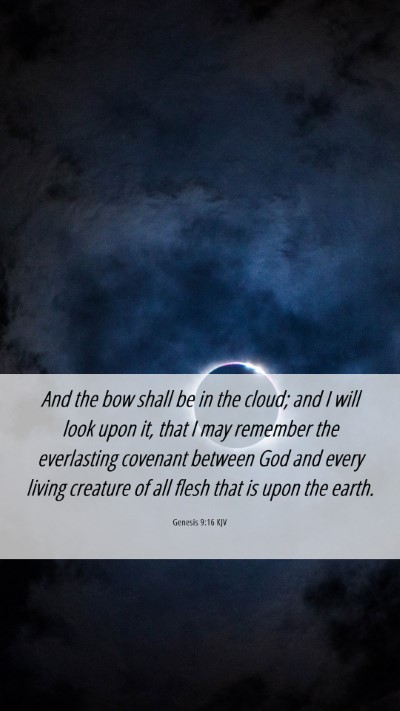 Picture 06 - Genesis 9:16 KJV Mobile Phone Wallpaper - And the bow shall be in the cloud; and I will - Mobile Bible Verse Wallpaper