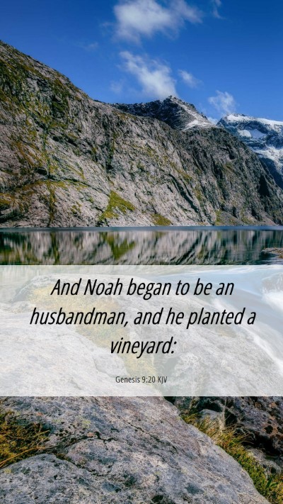 Picture 06 - Genesis 9:20 KJV Mobile Phone Wallpaper - And Noah began to be an husbandman, and he - Mobile Bible Verse Wallpaper
