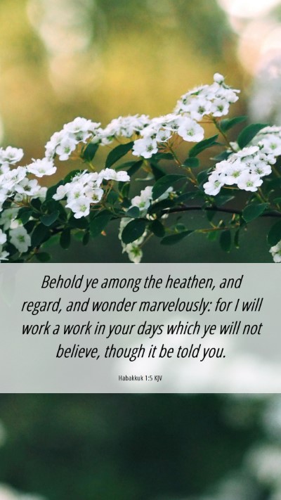 Picture 06 - Habakkuk 1:5 KJV Mobile Phone Wallpaper - Behold ye among the heathen, and regard, and - Mobile Bible Verse Wallpaper