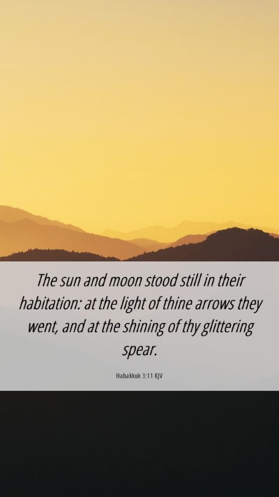 Picture 06 - Habakkuk 3:11 KJV Mobile Phone Wallpaper - The sun and moon stood still in their habitation: - Mobile Bible Verse Wallpaper
