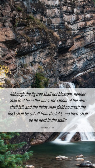 Picture 06 - Habakkuk 3:17 KJV Mobile Phone Wallpaper - Although the fig tree shall not blossom, neither - Mobile Bible Verse Wallpaper