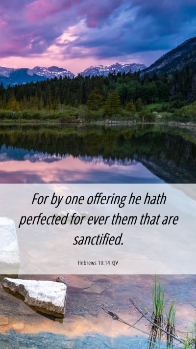 Picture 06 - Hebrews 10:14 KJV Mobile Phone Wallpaper - For by one offering he hath perfected for ever - Mobile Bible Verse Wallpaper