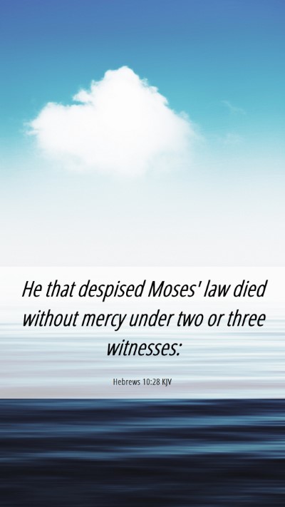 Picture 06 - Hebrews 10:28 KJV Mobile Phone Wallpaper - He that despised Moses' law died without mercy - Mobile Bible Verse Wallpaper