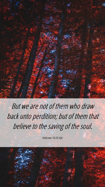 Picture 06 - Hebrews 10:39 KJV Mobile Phone Wallpaper - But we are not of them who draw back unto - Mobile Bible Verse Wallpaper