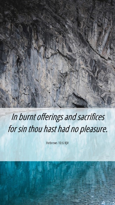 Picture 06 - Hebrews 10:6 KJV Mobile Phone Wallpaper - In burnt offerings and sacrifices for sin thou - Mobile Bible Verse Wallpaper