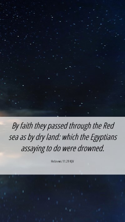 Picture 06 - Hebrews 11:29 KJV Mobile Phone Wallpaper - By faith they passed through the Red sea as by - Mobile Bible Verse Wallpaper
