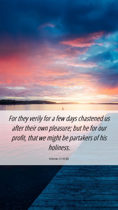 Picture 06 - Hebrews 12:10 KJV Mobile Phone Wallpaper - For they verily for a few days chastened us after - Mobile Bible Verse Wallpaper