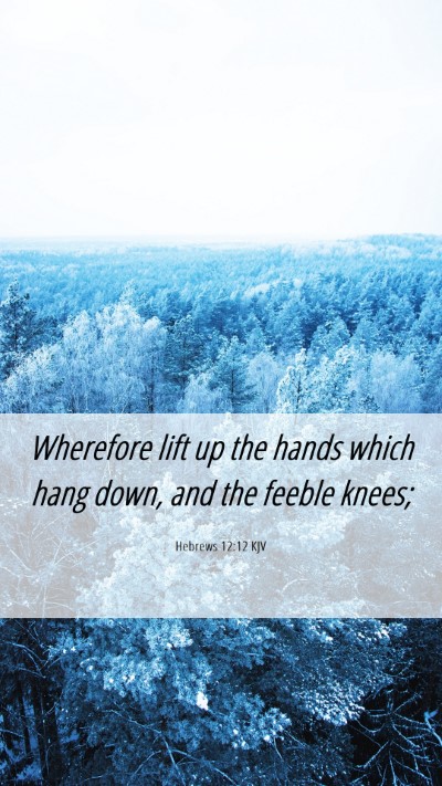 Picture 06 - Hebrews 12:12 KJV Mobile Phone Wallpaper - Wherefore lift up the hands which hang down, and - Mobile Bible Verse Wallpaper