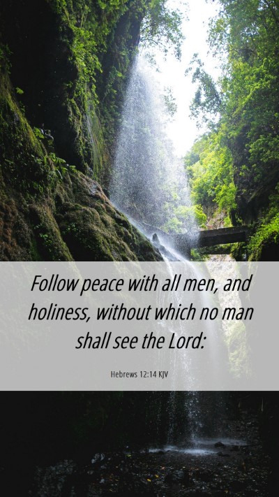Picture 06 - Hebrews 12:14 KJV Mobile Phone Wallpaper - Follow peace with all men, and holiness, without - Mobile Bible Verse Wallpaper