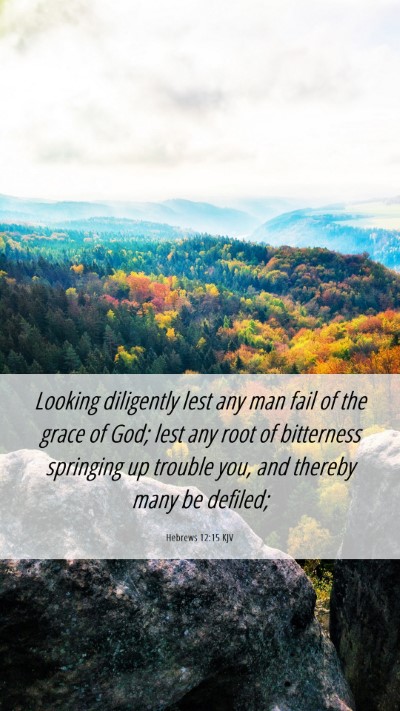 Picture 06 - Hebrews 12:15 KJV Mobile Phone Wallpaper - Looking diligently lest any man fail of the grace - Mobile Bible Verse Wallpaper