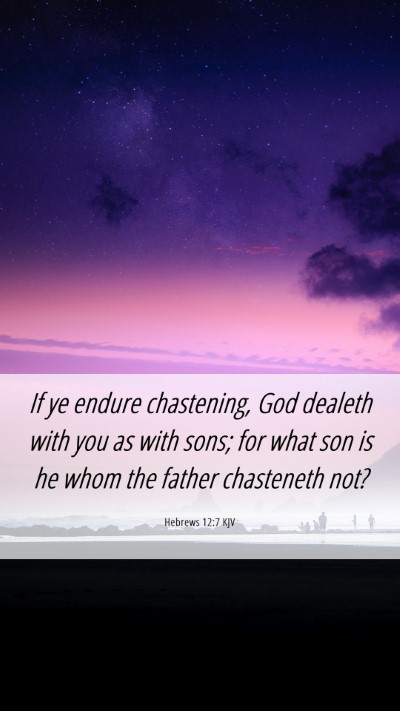 Picture 06 - Hebrews 12:7 KJV Mobile Phone Wallpaper - If ye endure chastening, God dealeth with you as - Mobile Bible Verse Wallpaper