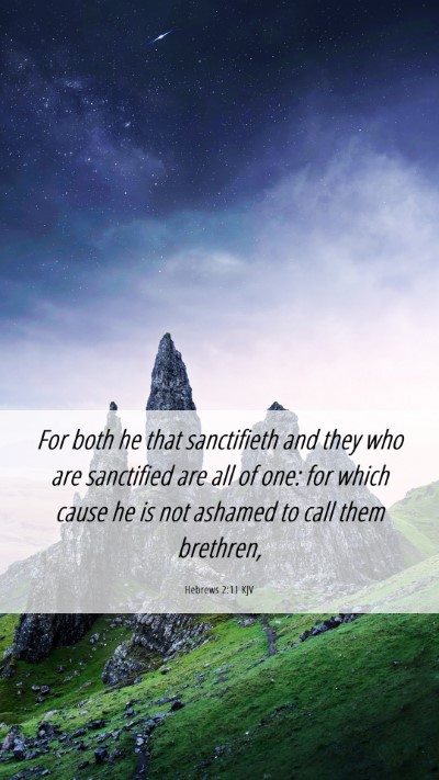 Picture 06 - Hebrews 2:11 KJV Mobile Phone Wallpaper - For both he that sanctifieth and they who are - Mobile Bible Verse Wallpaper