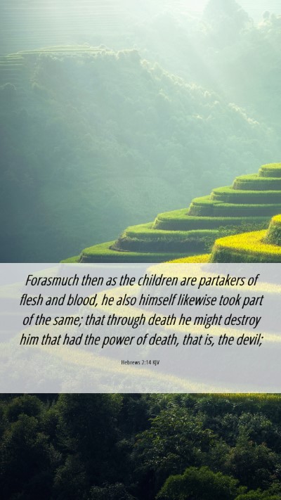 Picture 06 - Hebrews 2:14 KJV Mobile Phone Wallpaper - Forasmuch then as the children are partakers of - Mobile Bible Verse Wallpaper