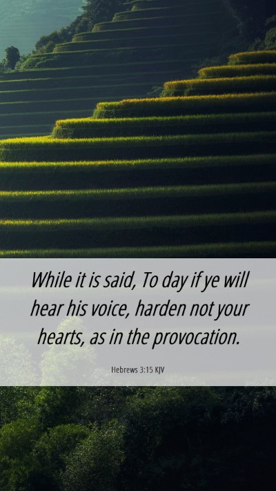 Picture 06 - Hebrews 3:15 KJV Mobile Phone Wallpaper - While it is said, To day if ye will hear his - Mobile Bible Verse Wallpaper