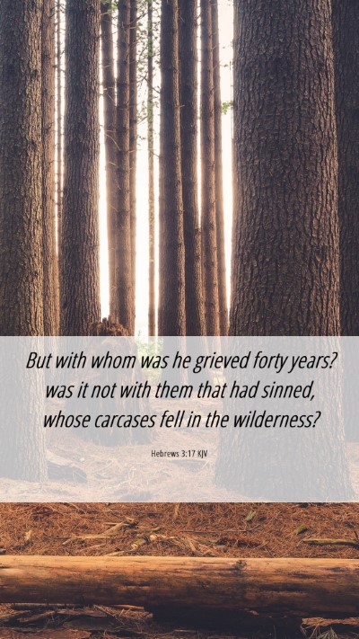 Picture 06 - Hebrews 3:17 KJV Mobile Phone Wallpaper - But with whom was he grieved forty years? was it - Mobile Bible Verse Wallpaper