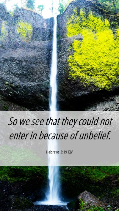 Picture 06 - Hebrews 3:19 KJV Mobile Phone Wallpaper - So we see that they could not enter in because of - Mobile Bible Verse Wallpaper
