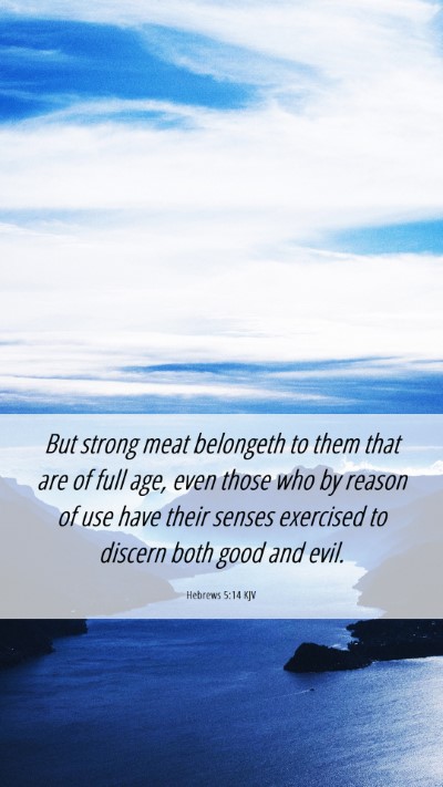 Picture 06 - Hebrews 5:14 KJV Mobile Phone Wallpaper - But strong meat belongeth to them that are of - Mobile Bible Verse Wallpaper