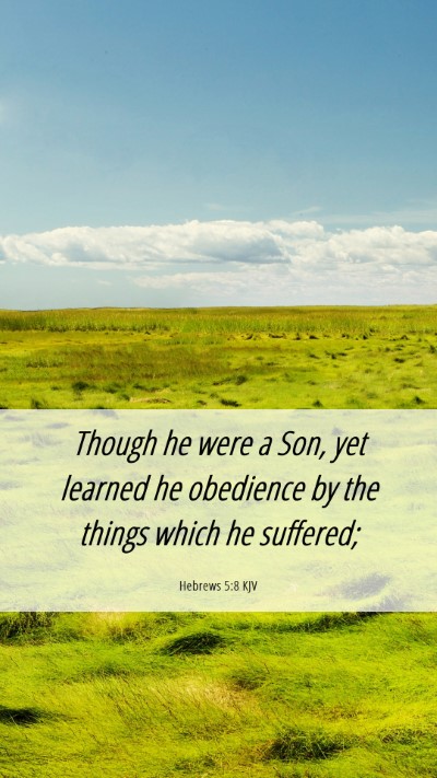 Picture 06 - Hebrews 5:8 KJV Mobile Phone Wallpaper - Though he were a Son, yet learned he obedience by - Mobile Bible Verse Wallpaper