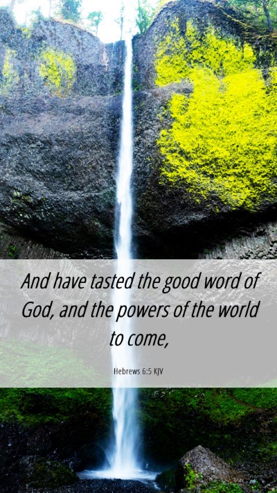 Picture 06 - Hebrews 6:5 KJV Mobile Phone Wallpaper - And have tasted the good word of God, and the - Mobile Bible Verse Wallpaper