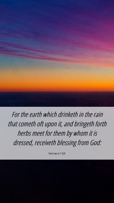Picture 06 - Hebrews 6:7 KJV Mobile Phone Wallpaper - For the earth which drinketh in the rain that - Mobile Bible Verse Wallpaper